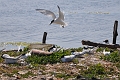 Holiday Dorset_9359_edited-1